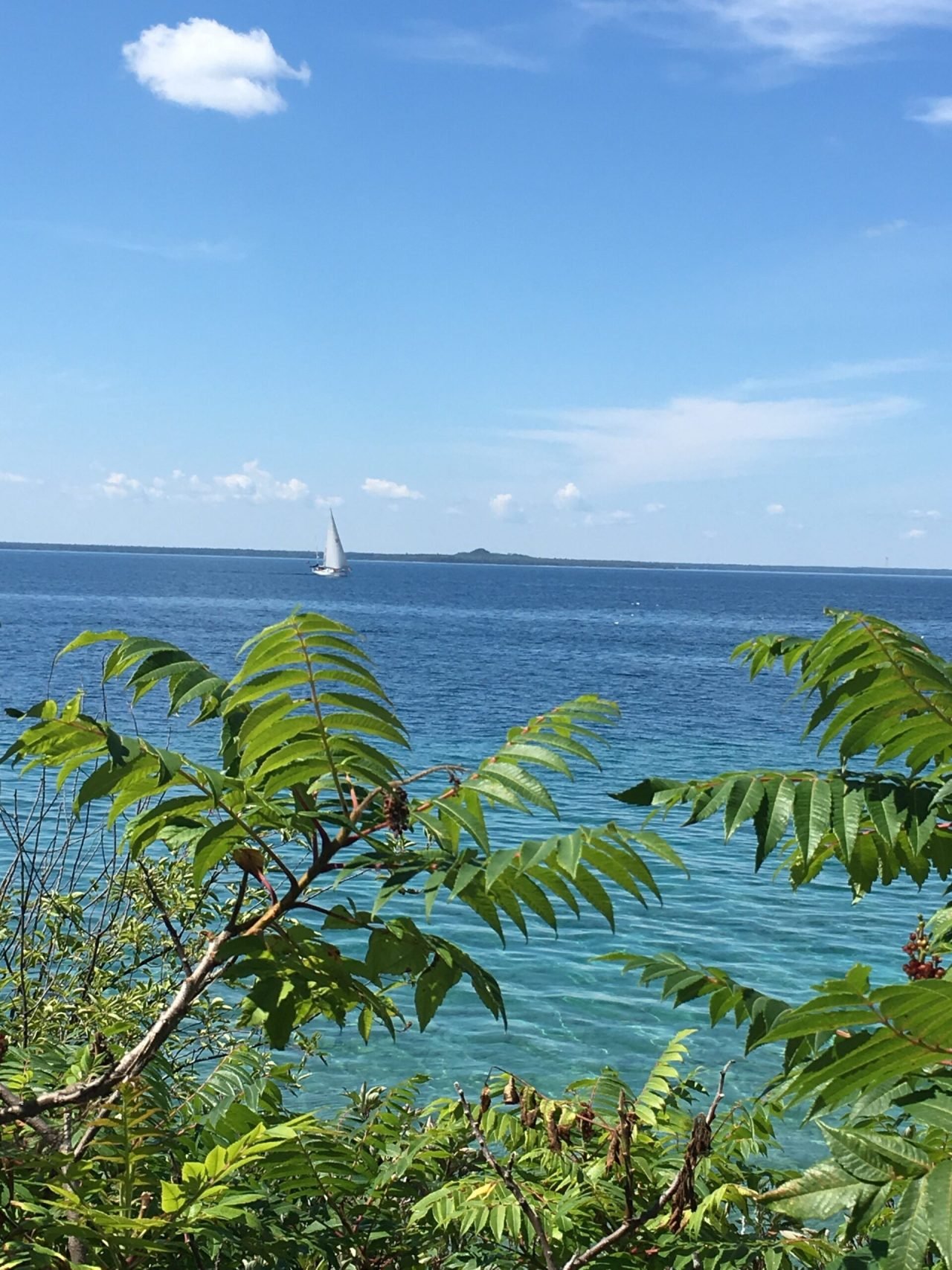 A sailboat in the ocean Description automatically generated
