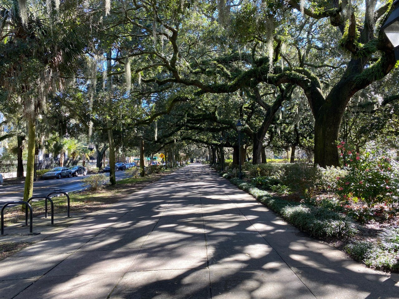 A sidewalk with trees and plants on it

Description automatically generated