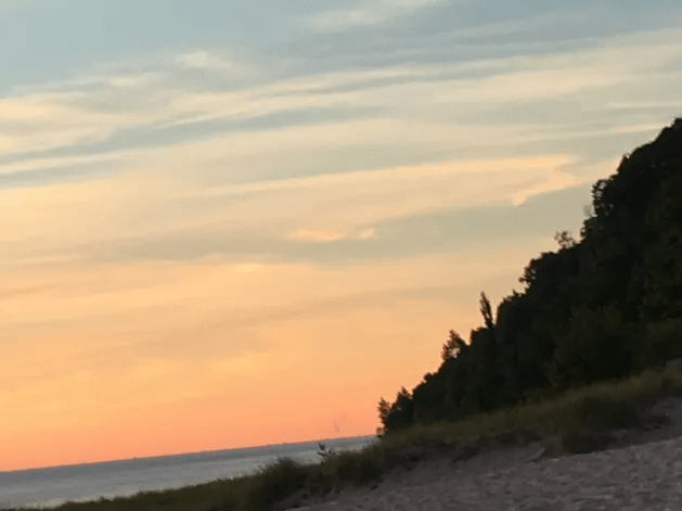 A beach with trees and water in the background
Description automatically generated