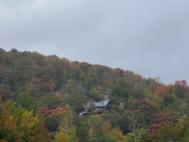 A house on a hill with trees
Description automatically generated