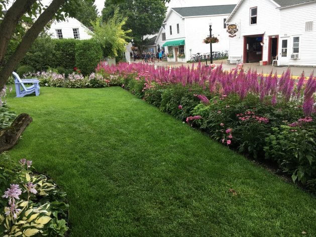 A lawn with flowers and a building in the background

Description automatically generated