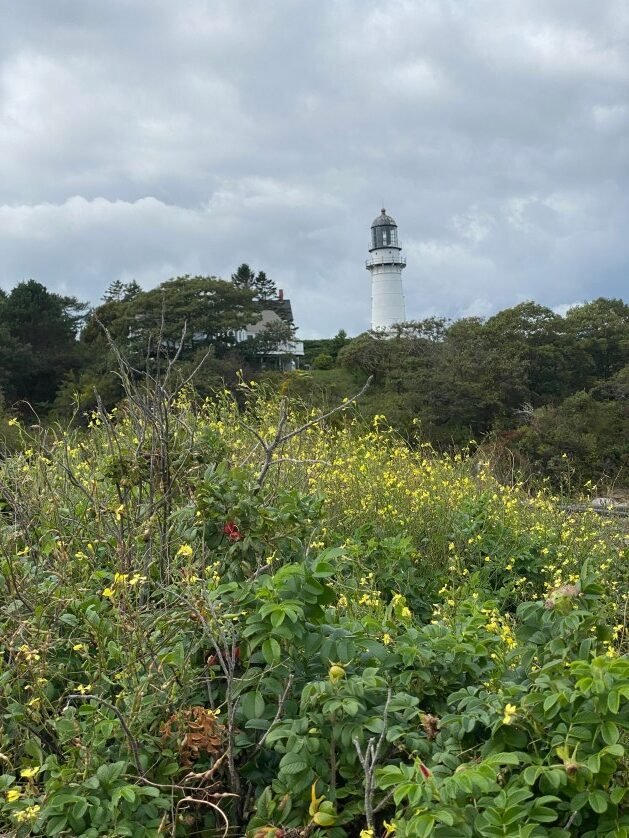 A lighthouse in the distance
Description automatically generated