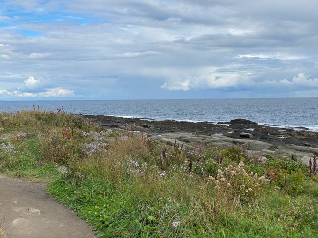 A path with grass and rocks by the ocean
Description automatically generated