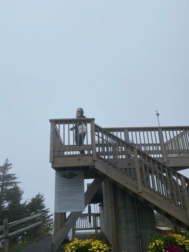 A person standing on a wooden platform
Description automatically generated