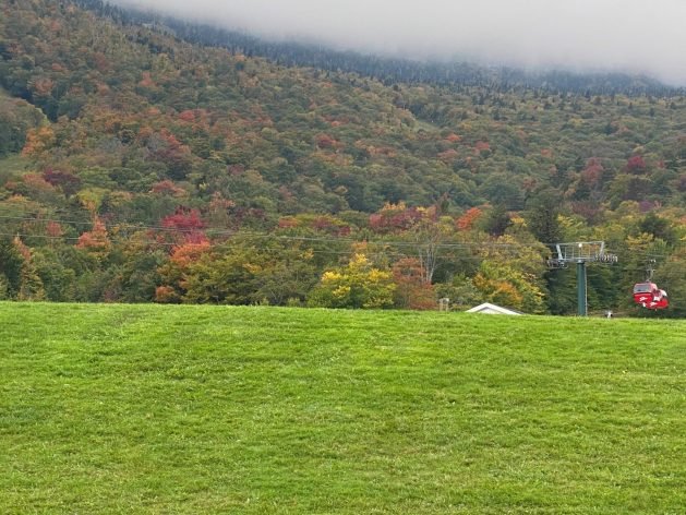 A picture containing grass, outdoor, field, mountain
Description automatically generated