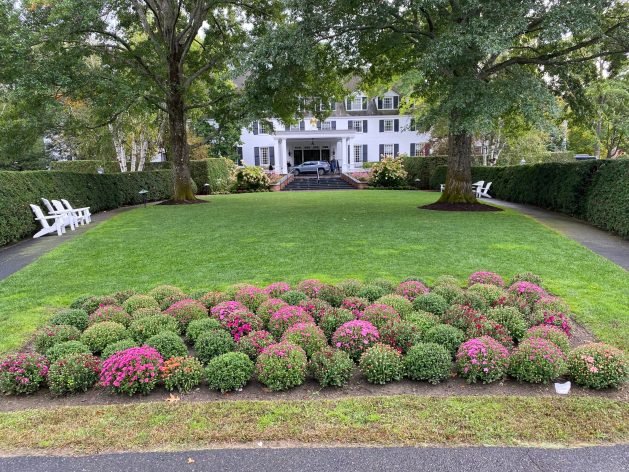 A picture containing grass, tree, outdoor, flower
Description automatically generated