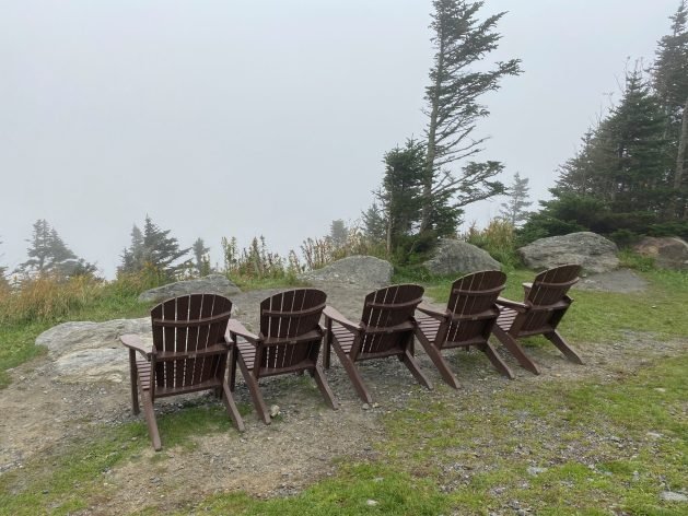 A picture containing outdoor, grass, tree, bench
Description automatically generated