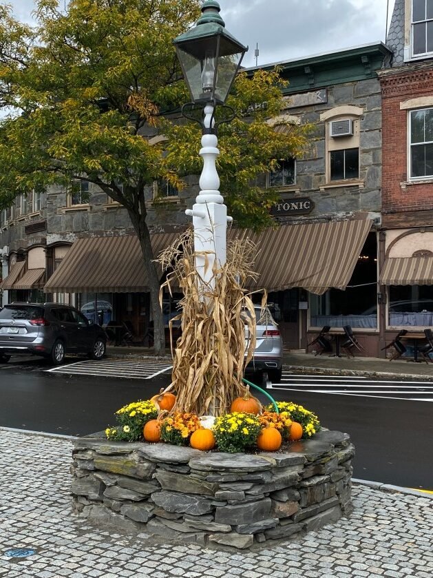 A plant with flowers and pumpkins on a stone pillar
Description automatically generated