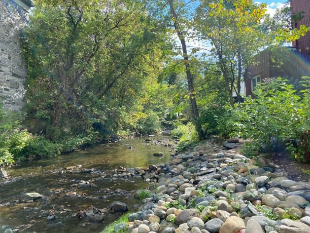 A river running through a forest
Description automatically generated