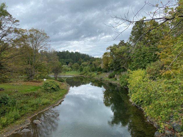 A river with trees and grass
Description automatically generated