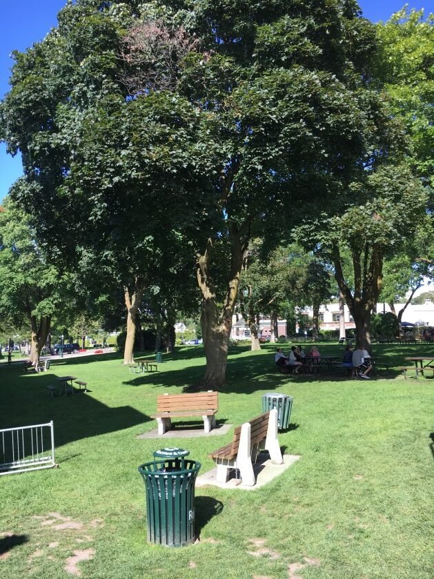 park with large oak trees and benches.
