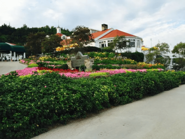 A house with a garden and a road

Description automatically generated