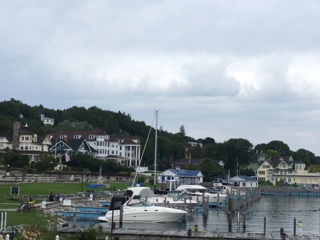 A marina with boats and houses in the background

Description automatically generated