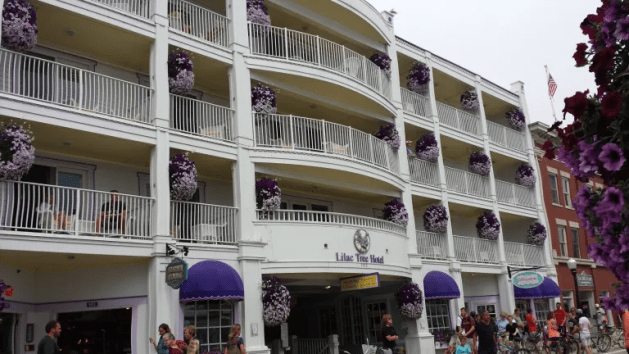 A white building with purple flowers

Description automatically generated